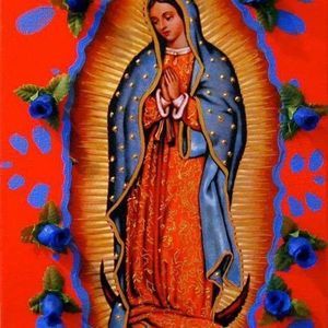 Meet your Posher, Marlen